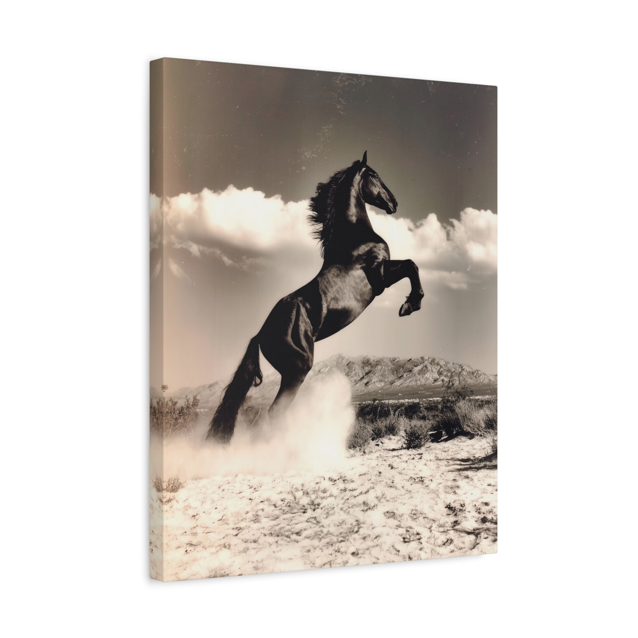 Stallion Rising - Majestic Horse Canvas Wall Art