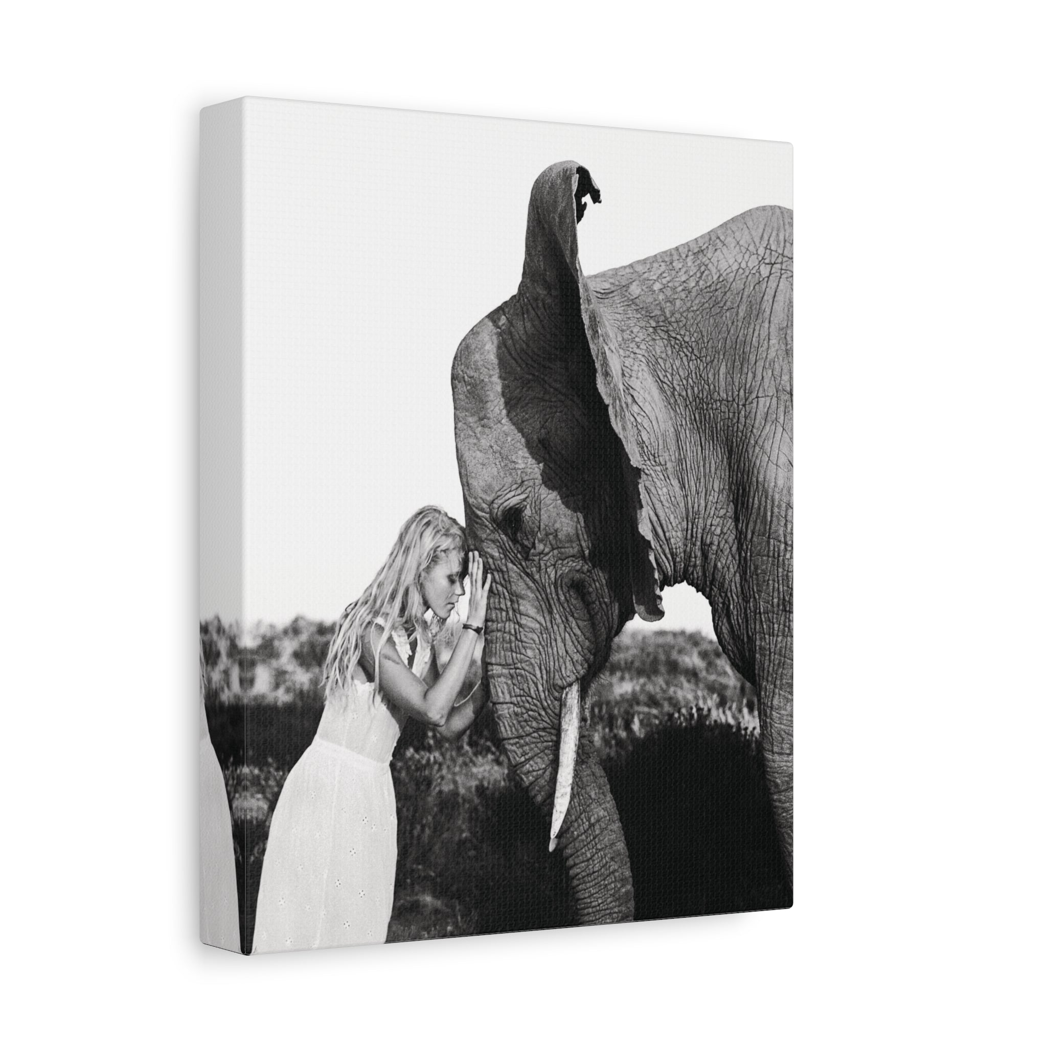 Republic of Venus™ woman and elephant wall art