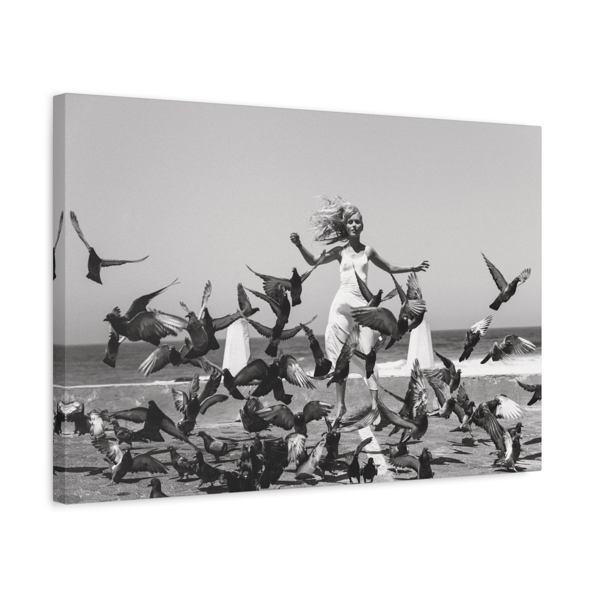 Republic of Venus™ black and white fine art photography