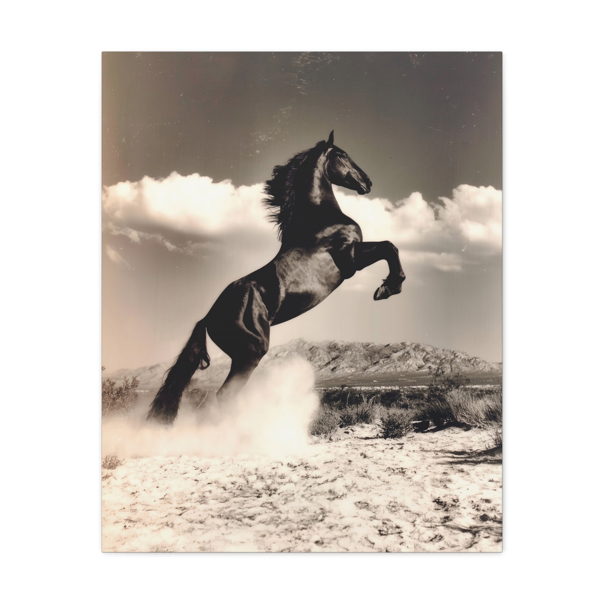 Stallion Rising - Majestic Horse Canvas Wall Art