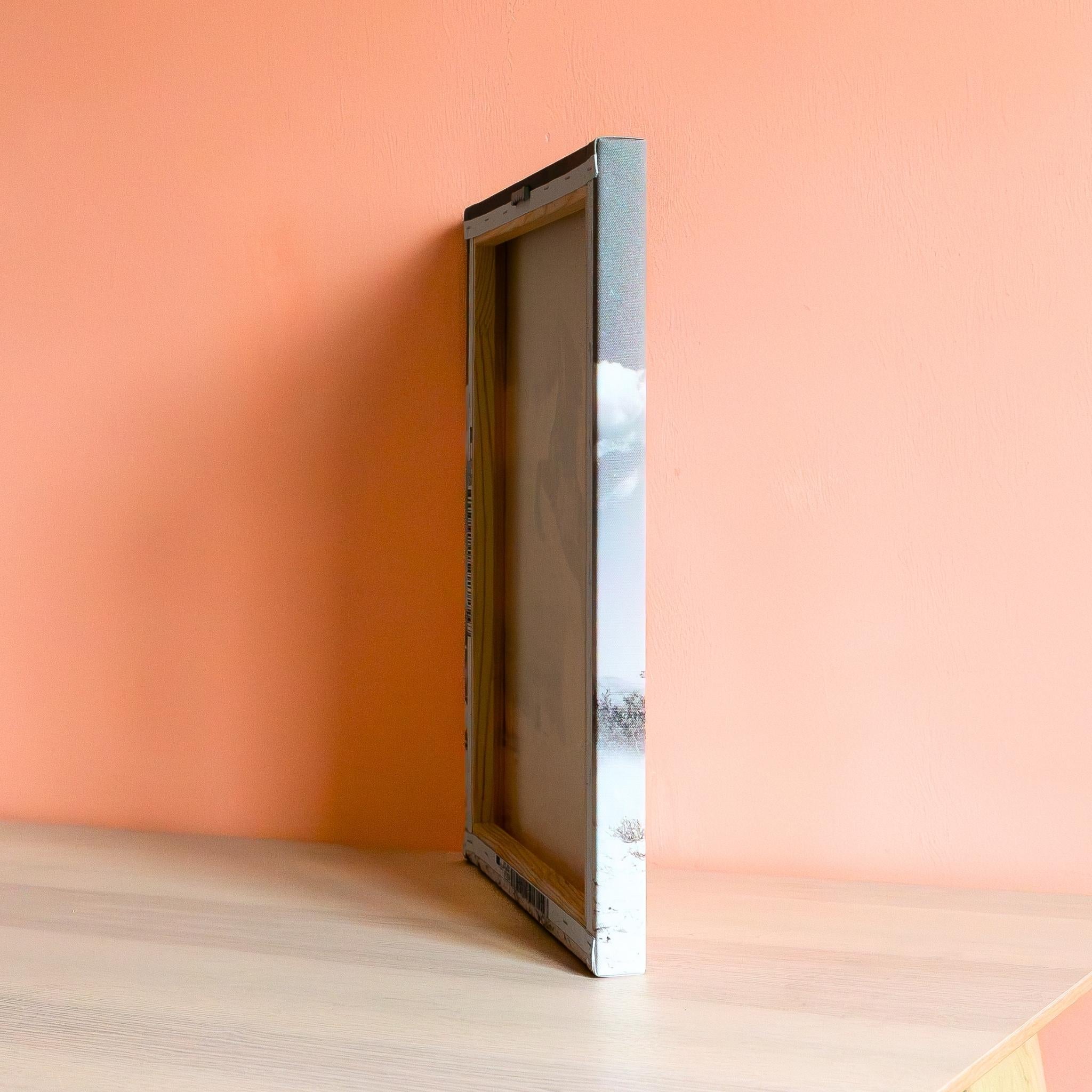 Stallion Rising - Majestic Horse Canvas Wall Art