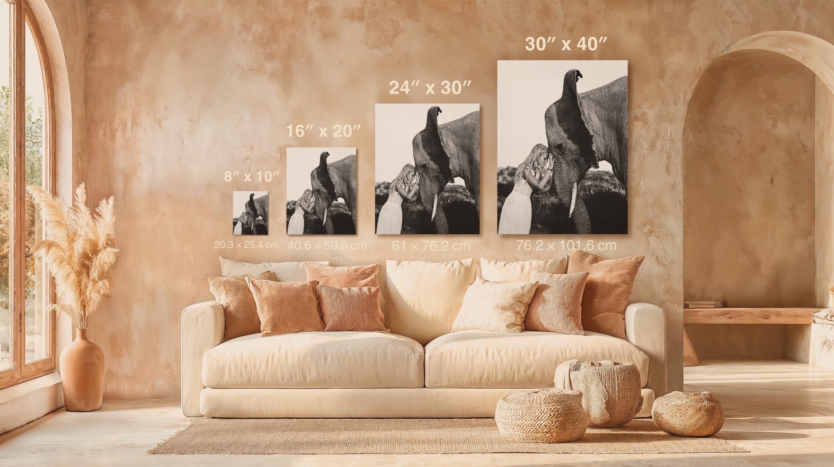 Republic of Venus™ emotional wildlife portrait artwork
