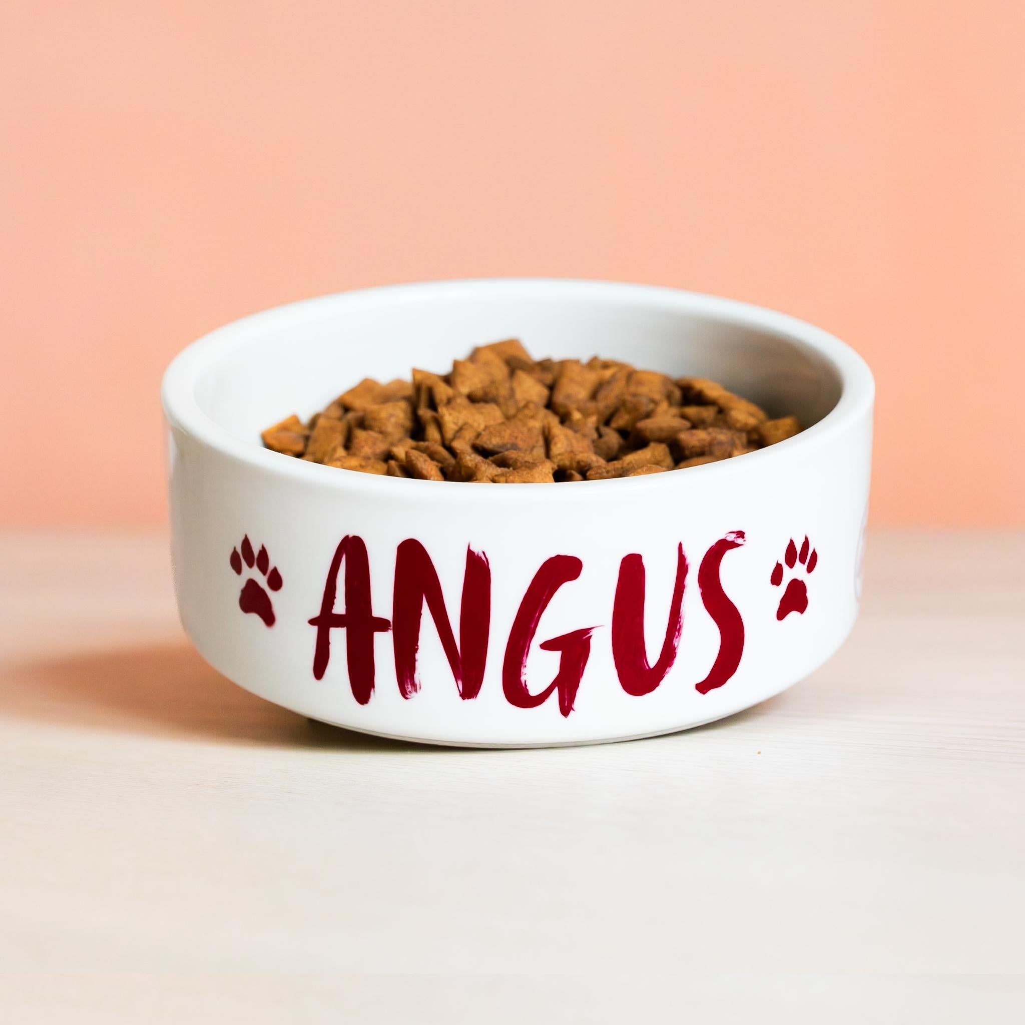Republic of Venus™ personalized ceramic pet bowl