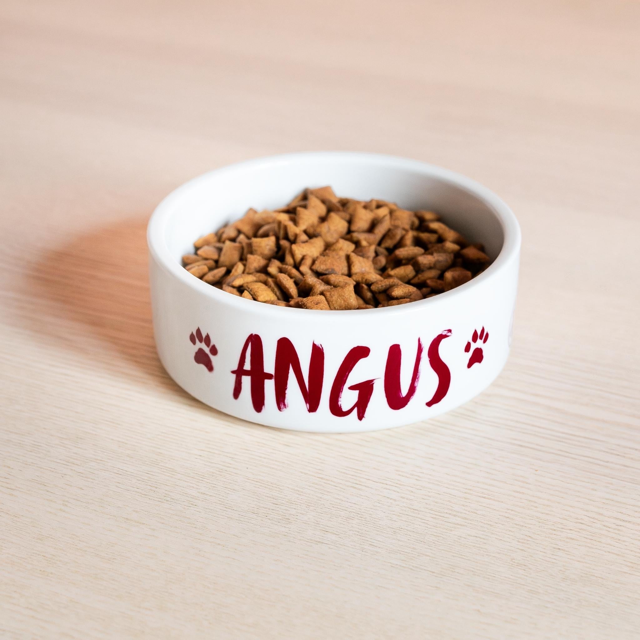 Republic of Venus™ custom dog food bowl