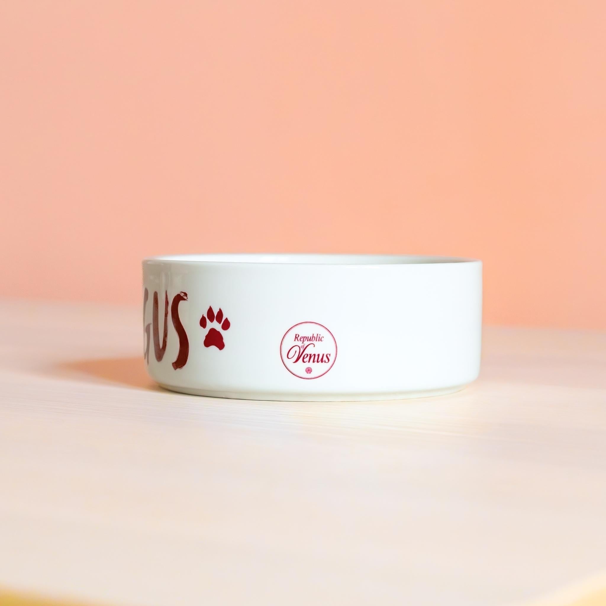 Republic of Venus™ ceramic dog water bowl